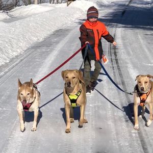 Meet your Posher, Tracy